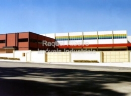 Raquel Ribeiro - Imóveis Industriais - Cumbica - Guarulhos / SP