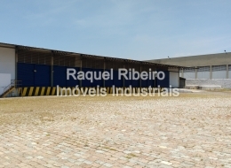 Raquel Ribeiro - Imóveis Industriais - Jd. São Geraldo - Guarulhos / SP