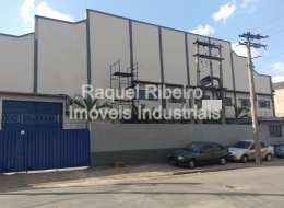 Raquel Ribeiro - Imóveis Industriais - Cumbica - Guarulhos / SP