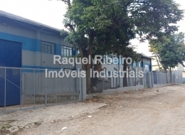 Raquel Ribeiro - Imóveis Industriais - Cumbica - Guarulhos / SP