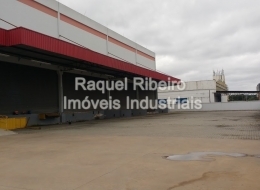 Raquel Ribeiro - Imóveis Industriais -  Jd. São Geraldo - Guarulhos / SP